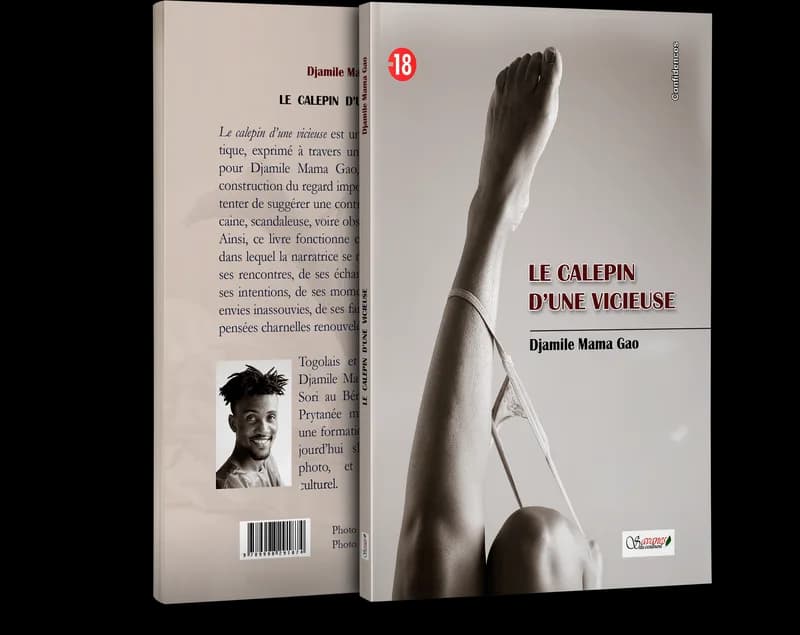 Le calepin d’une vicieuse