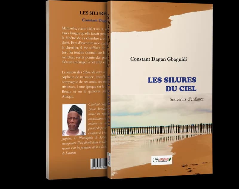 Les silures du ciel