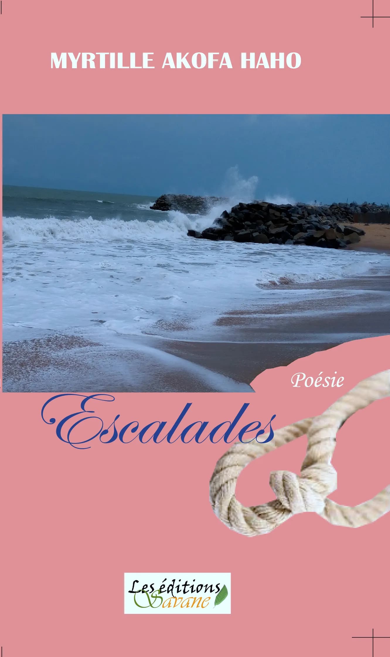 Couverture de Escalades