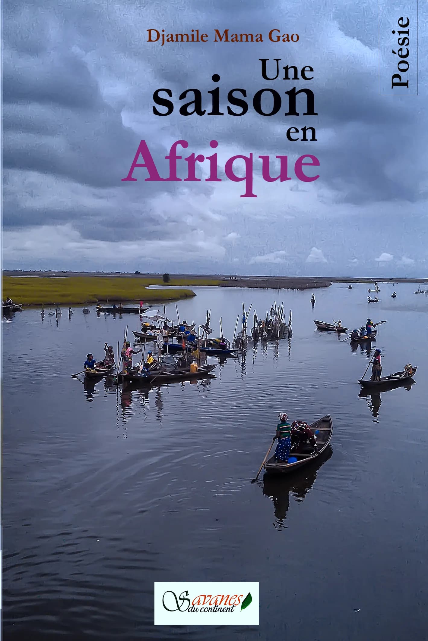 Couverture de Une saison en Afrique
