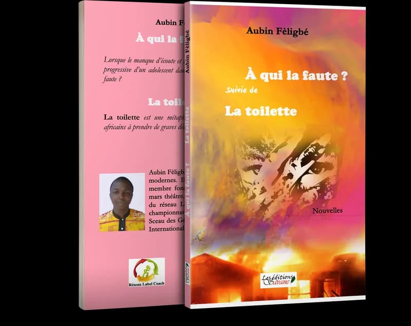 À qui la faute ?
