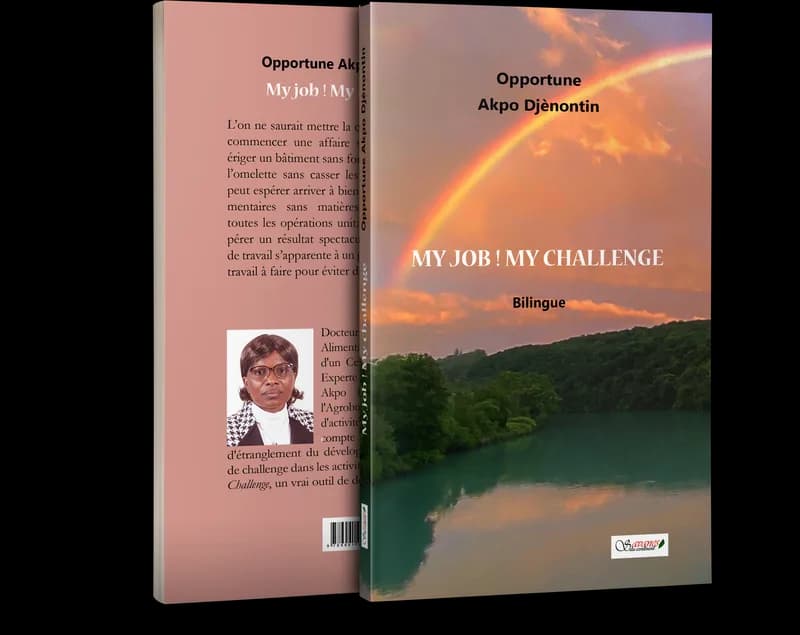 My job ! My challenge